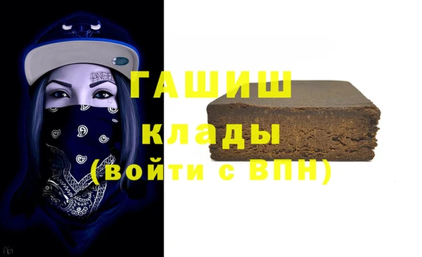 гидра Снежногорск