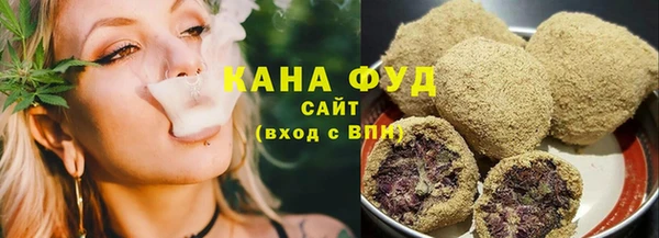 гидра Снежногорск