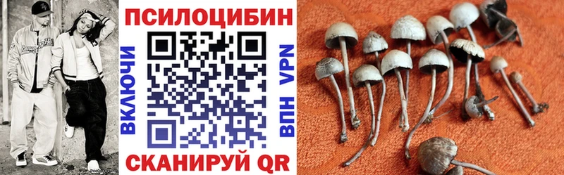 Псилоцибиновые грибы Magic Shrooms  блэк спрут ССЫЛКА  Борисоглебск 
