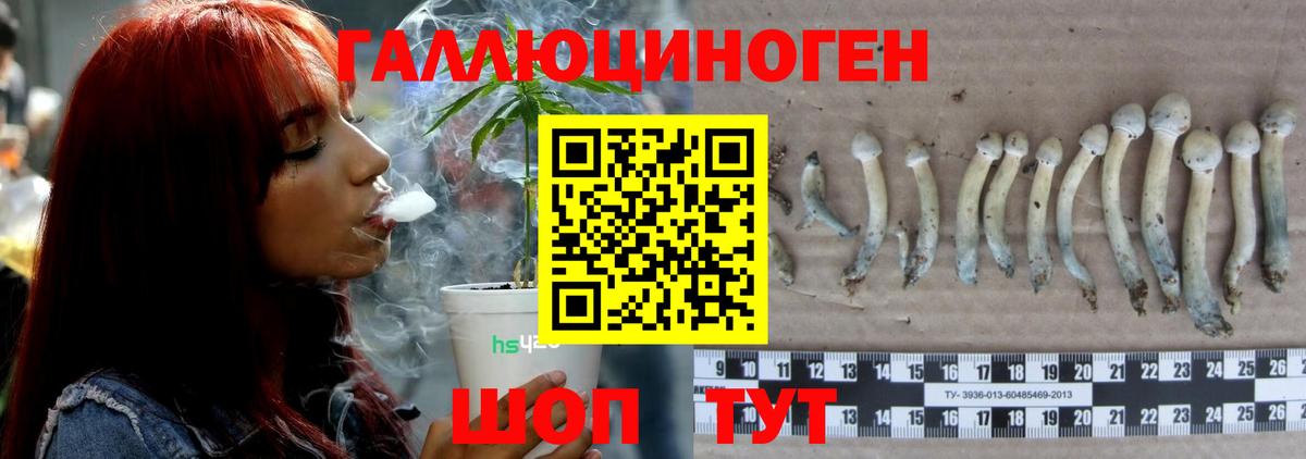 Борисоглебск  Псилоцибиновые грибы GOLDEN TEACHER  Вход с VPN  Псилоцибиновые грибы GOLDEN TEACHER 